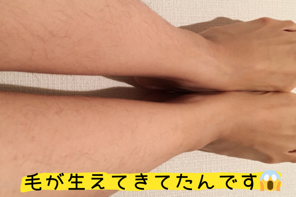 生えてきた