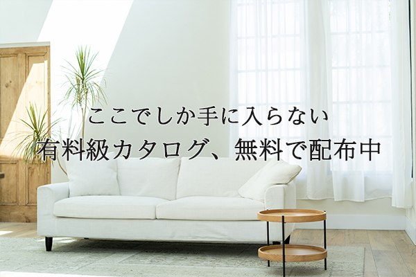 テキスト