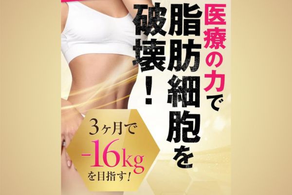脂肪細胞破壊