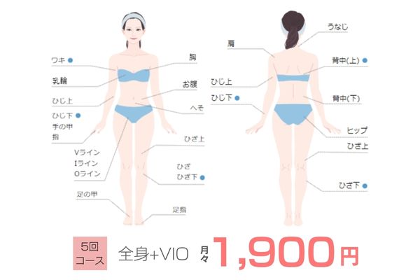 月々1900円