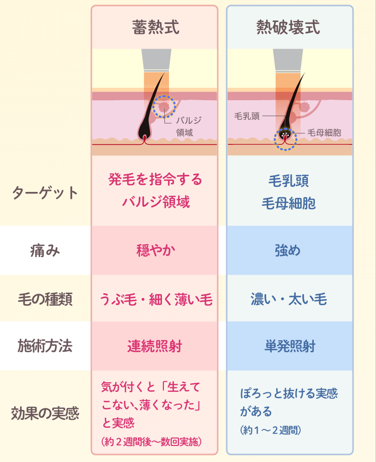 比較表